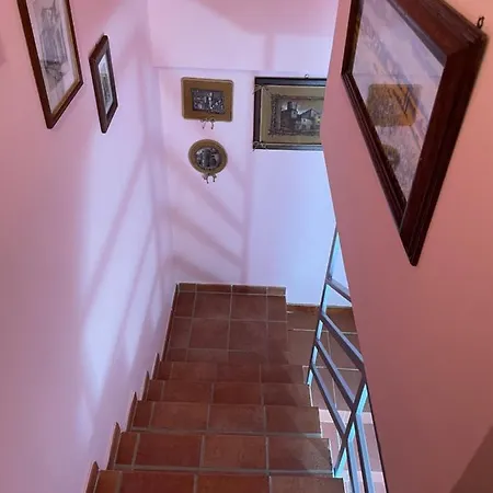 Centro Estivo Il Piccolo Paradiso