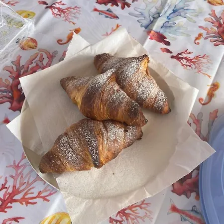 Centro Estivo Il Piccolo Paradiso Alojamento de Acomodação e Pequeno-almoço Sonnino